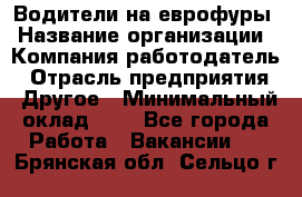 Водители на еврофуры › Название организации ­ Компания-работодатель › Отрасль предприятия ­ Другое › Минимальный оклад ­ 1 - Все города Работа » Вакансии   . Брянская обл.,Сельцо г.